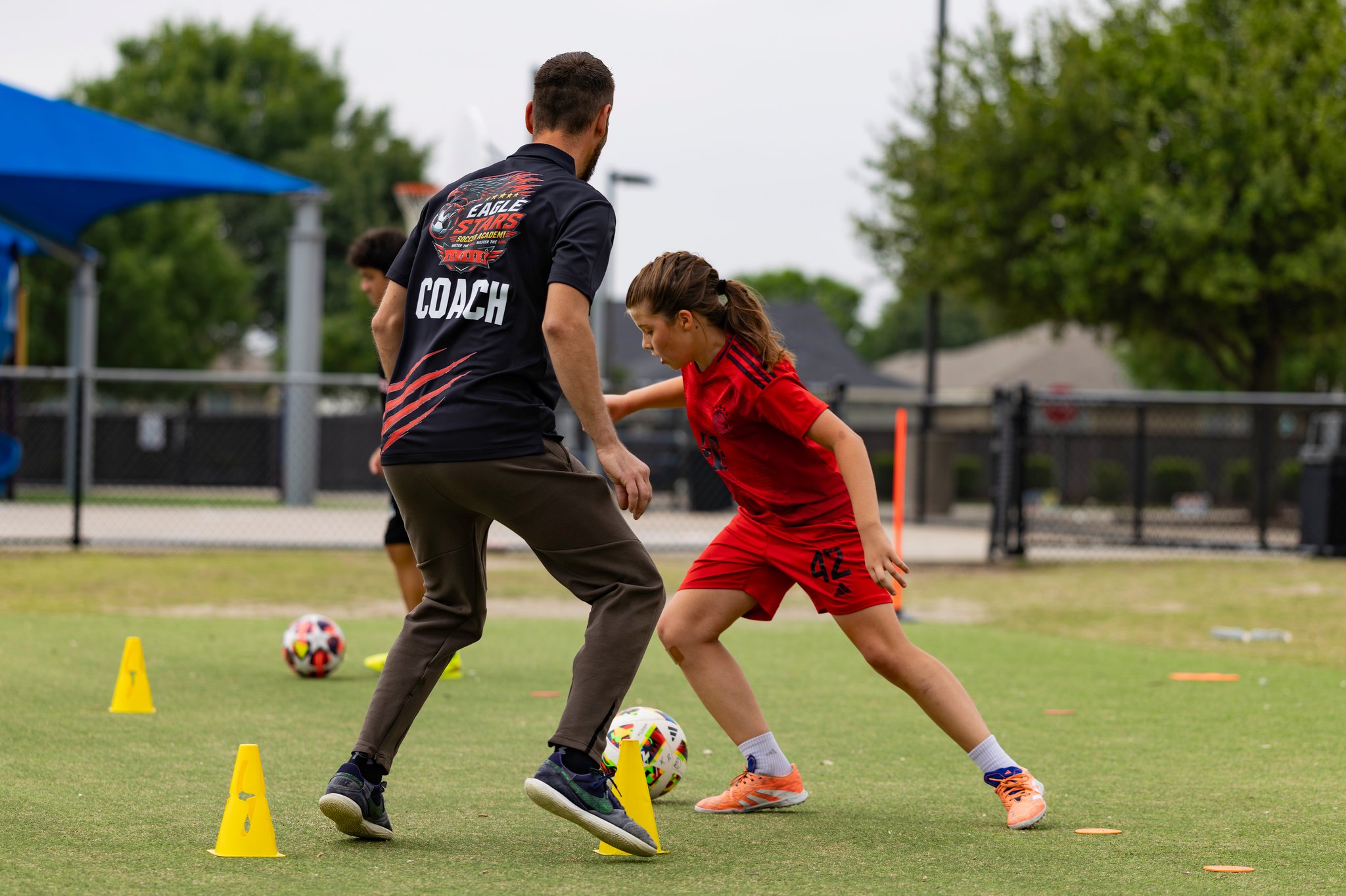 1v1 Dominance